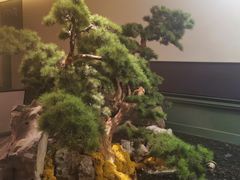 -潮上潮(南中环店)