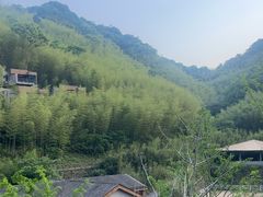 -宁海安岚·南溪阁全日餐厅