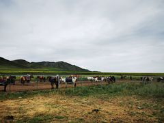 -扁都口生态休闲旅游区