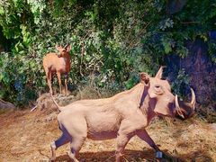 -大连自然博物馆