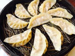 -松针蔡记蒸饺(花园路店)
