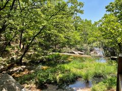 -鲁山国家森林公园