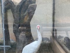 -南昌动物园