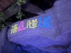 -左海海底世界
