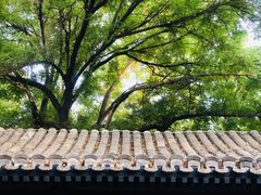 -悦真雅院·四合院·清真私房菜(雍和宫店)