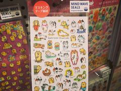 -猫的天空之城概念书店(束河店)