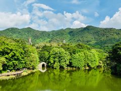 -深圳仙湖植物园