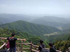 -王顺山国家森林公园