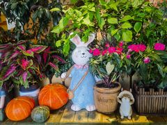 -萤火虫咖啡(后海店)