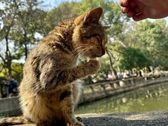 -西园戒幢律寺