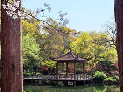 -浙江西子宾馆·牡丹厅
