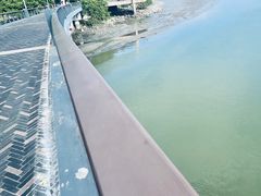-深圳湾公园(南山区)