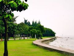 -野狸岛