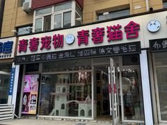 -青奢宠物·青奢猫舍