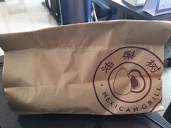 -油梨树AVOCADO TREE(顺义新国展店)