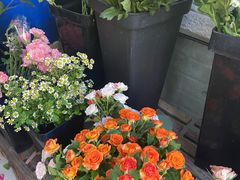 -雪蔓之鲜花气球派对(家佳源时代中心店)