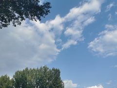 -瑞幸咖啡(西安软件园店)