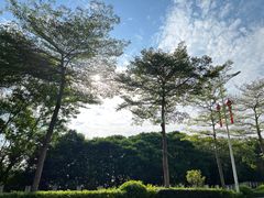 -西涌国际滨海旅游区