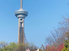 -南京古林公园