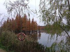 -白鹭湾湿地公园