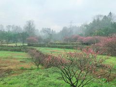 -唐崖土司城遗址