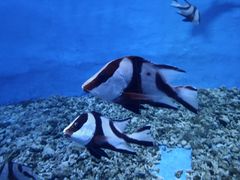 -鄂尔多斯野生动物园