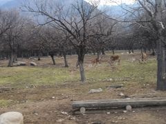 -西安秦岭野生动物园