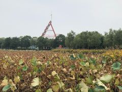 -艾溪湖湿地公园