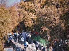 -泰山风景名胜区