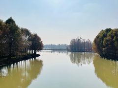 -上海海湾国家森林公园