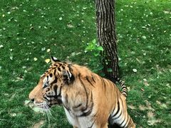 -北京野生动物园