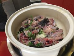 -黑河坝泡姜鸡贡椒鱼(贾旗路店)