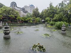 -碧江金楼