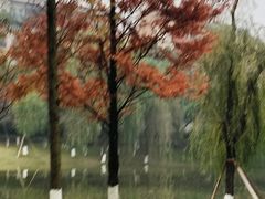 -沐仙湖湿地公园