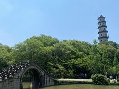 -江心屿景区