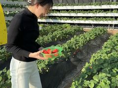 -北京张裕爱斐堡酒庄