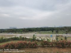 -盘龙城国家考古遗址公园