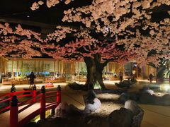 -蓝鲸湾汤泉(包河店)