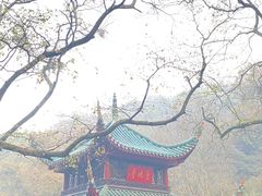 -岳麓山风景名胜区