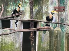 -杭州野生动物世界