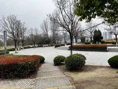 -九里湖国家湿地公园