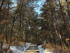 -帽儿山国家森林公园