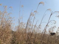 -良渚古城遗址公园