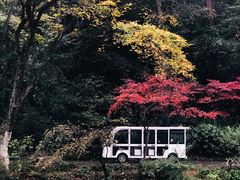 -岳麓山风景名胜区