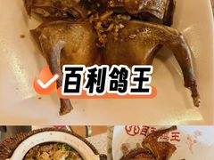 -百利鸽王(紫薇路店)