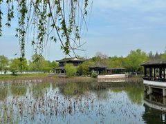 -尚湖风景区