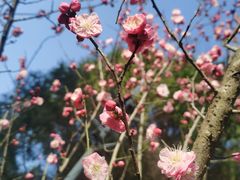 -富乐山