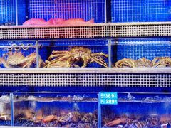 -青蓬蒸汽海鲜·深圳老字号·团建聚会(壹方城店)