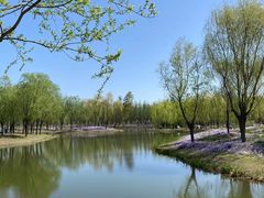 -东郊湿地公园