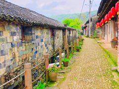 -桑洲油菜花景区